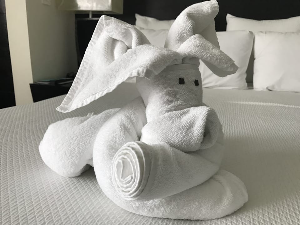 Zimmer Grand Oasis Tulum Riviera - All Inclusive