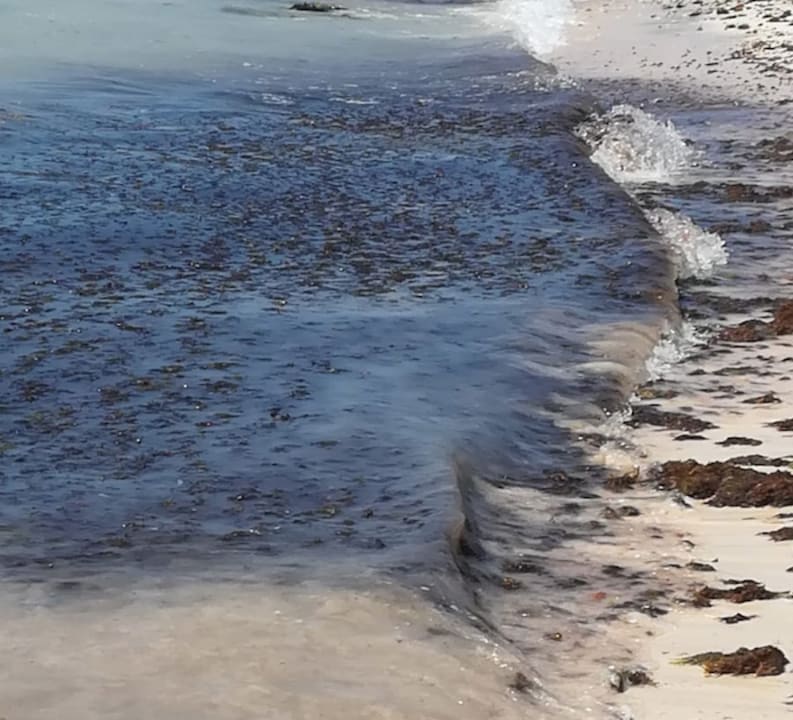 Strand Dreams Tulum Resort & Spa