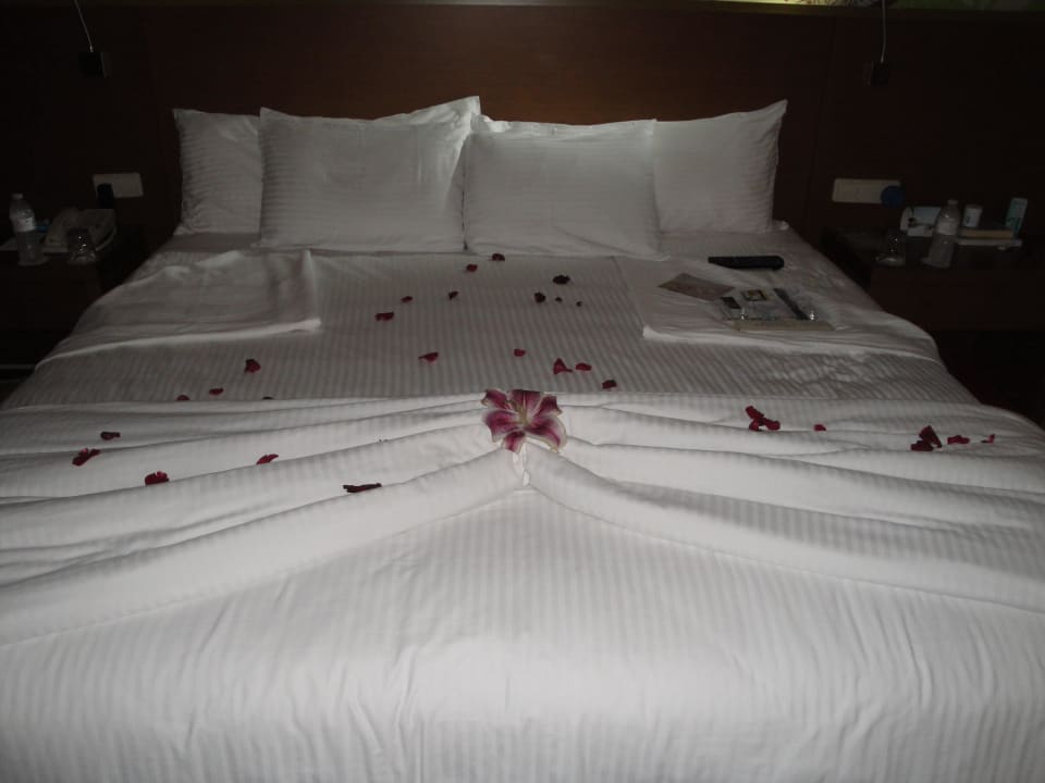 Abendlicher Turn down service Secrets Royal Beach Punta Cana - Adults only