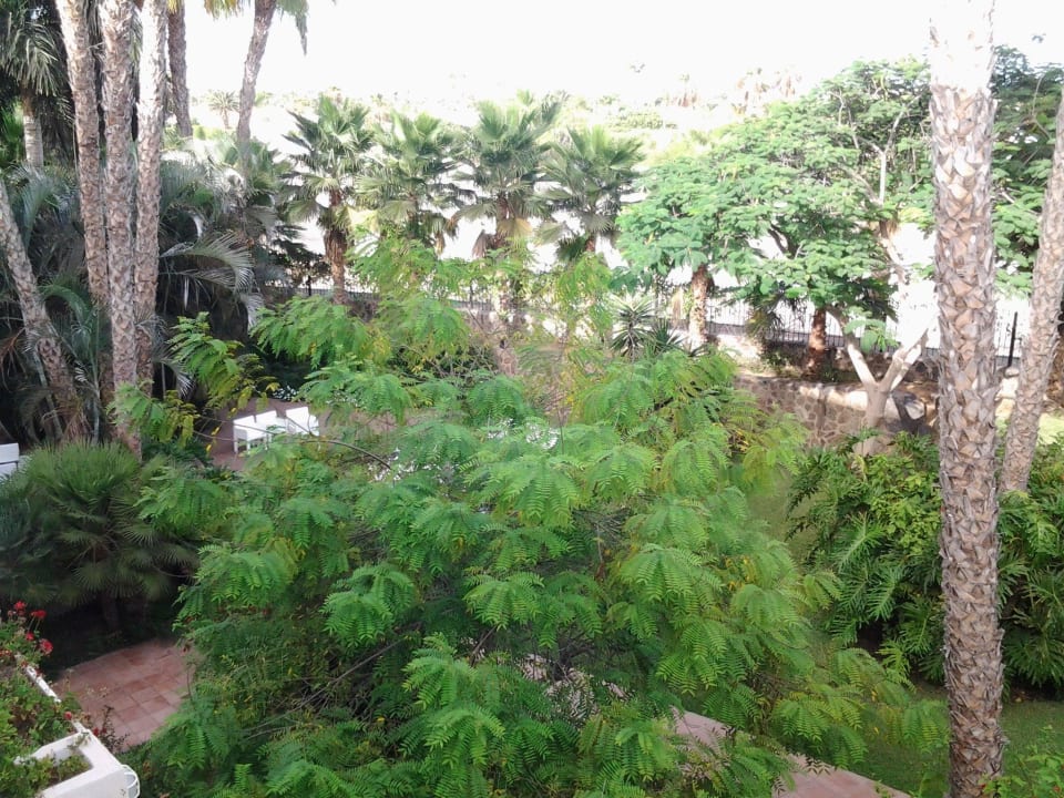 Aussenanlage Tabaiba Princess