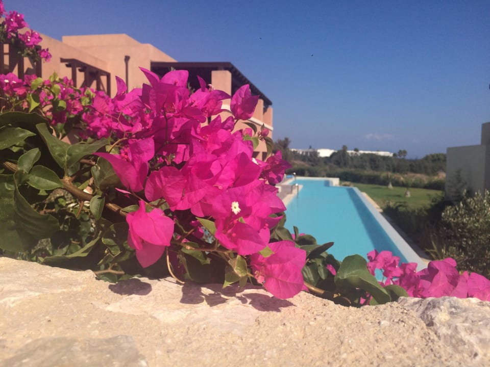 Zimmer mit Blick zum Meer und Sharingpool Atlantica Belvedere Resort