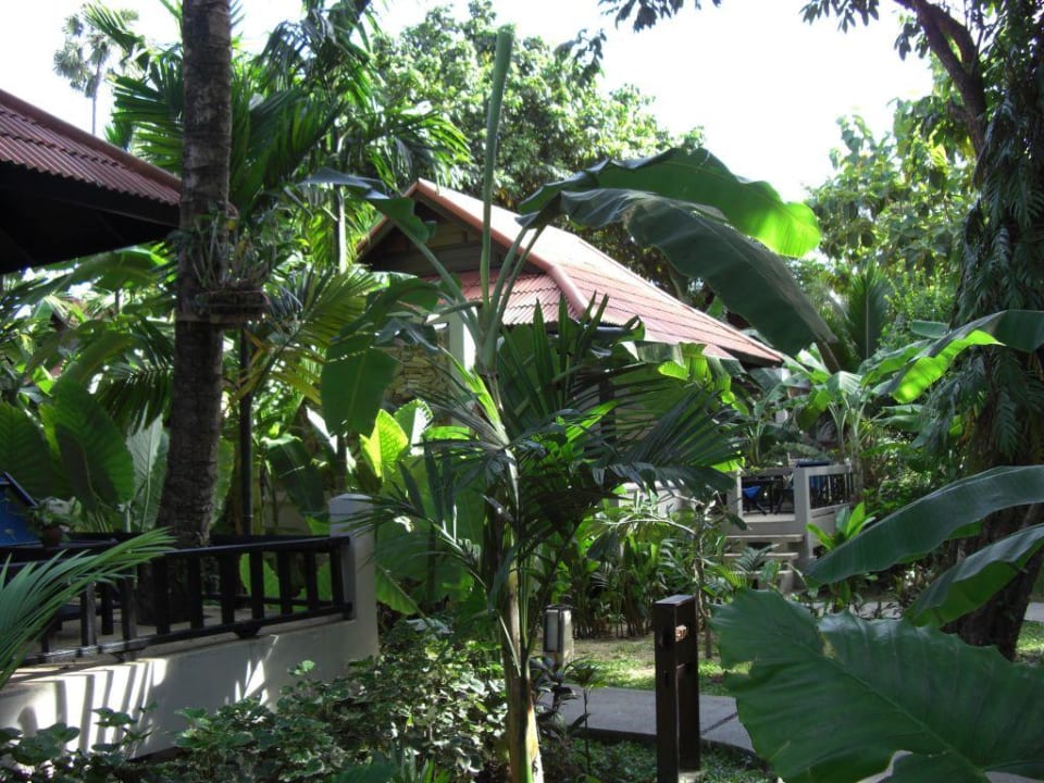 Bungalows und Gartenanlage NH Collection Samui Peace Resort