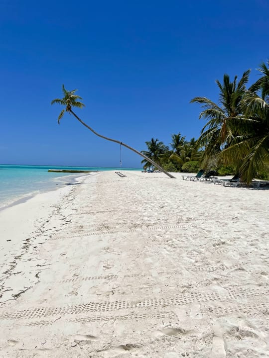 Strand Meeru Maldives Resort Island