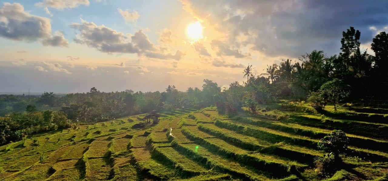 Ausblick West Bali Villas Umasari Resort