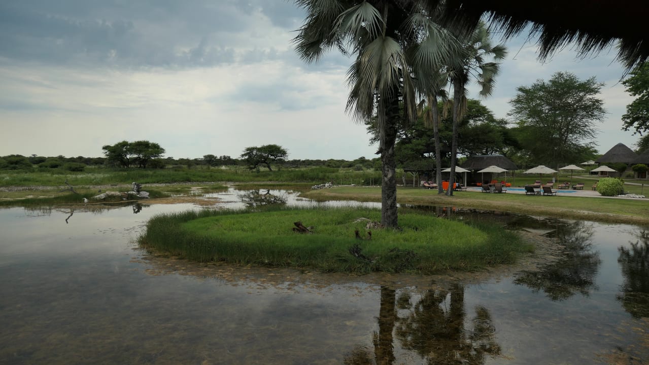 Sonstiges Onguma Safari Camps