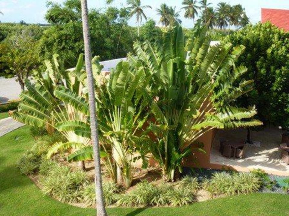 Gartenanlage Secrets Royal Beach Punta Cana - Adults only
