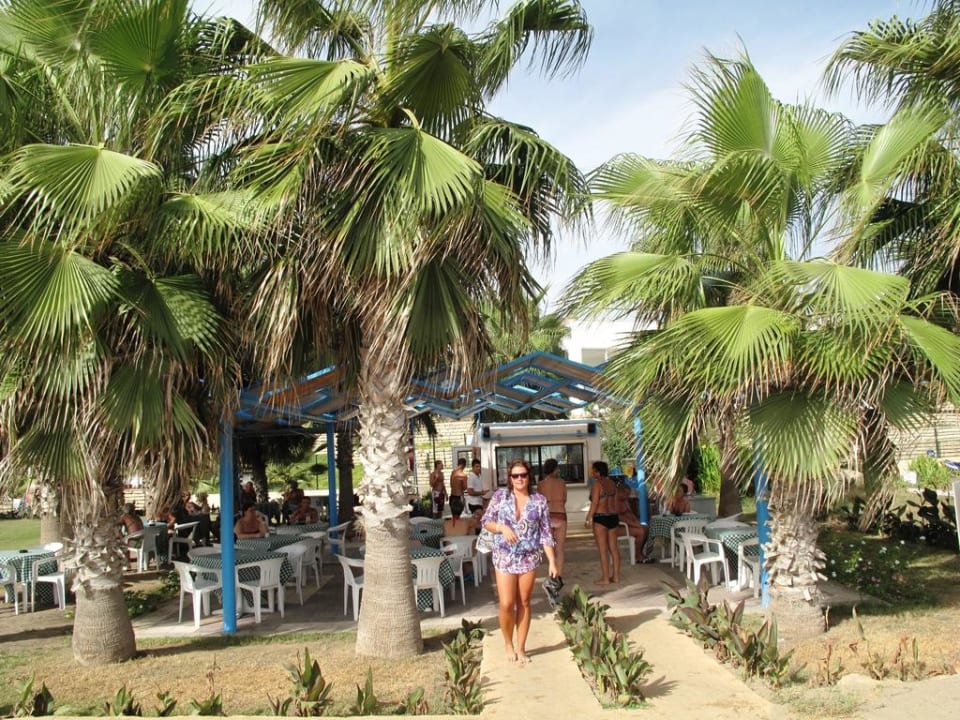 Beach Bar Asteria Collection Side