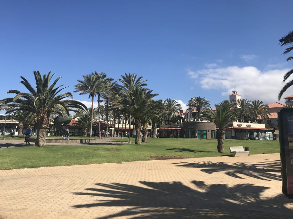 Gartenanlage Hotel Riu Palace Oasis