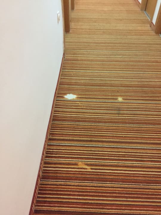 Zimmer Veli Mel Hotel