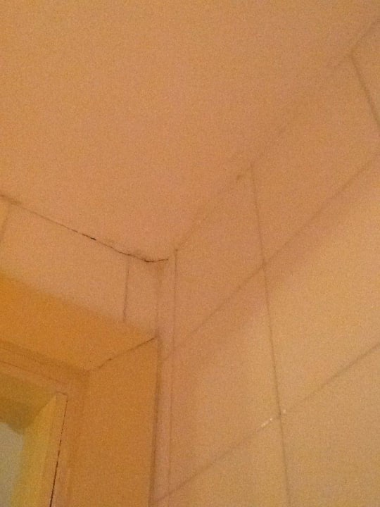 Schimmel Bad BelleVue Club