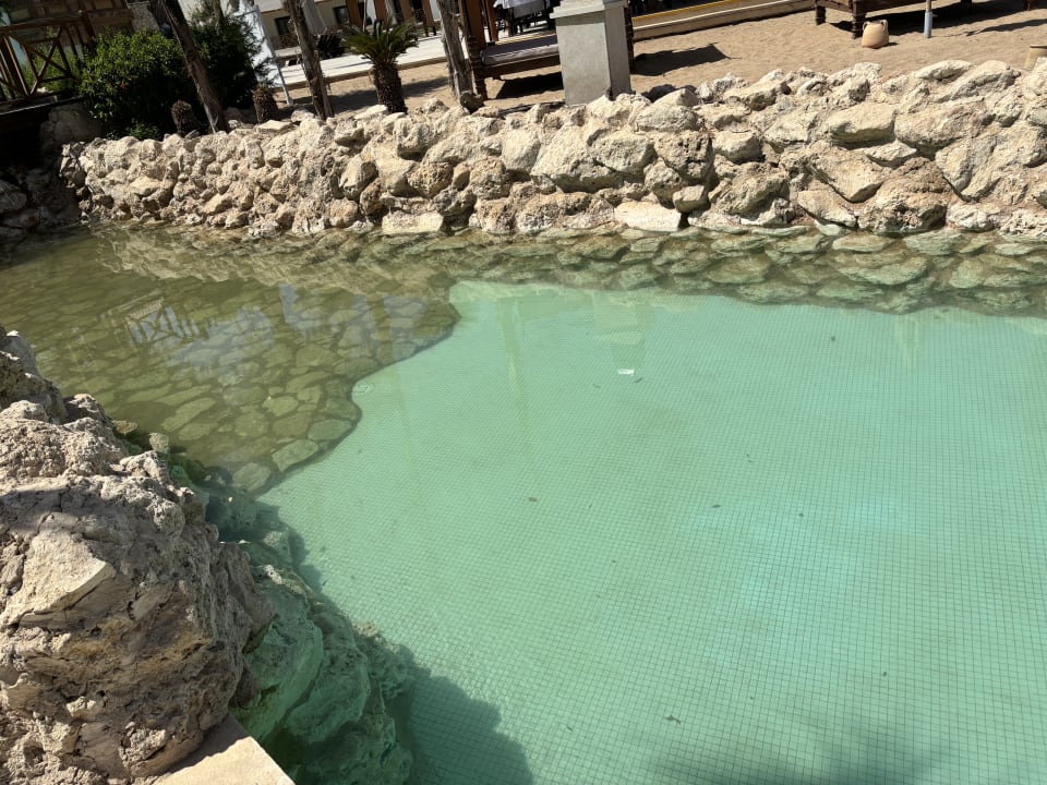 Pool Ghazala Gardens