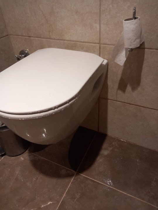 Zimmer Well Palace Side