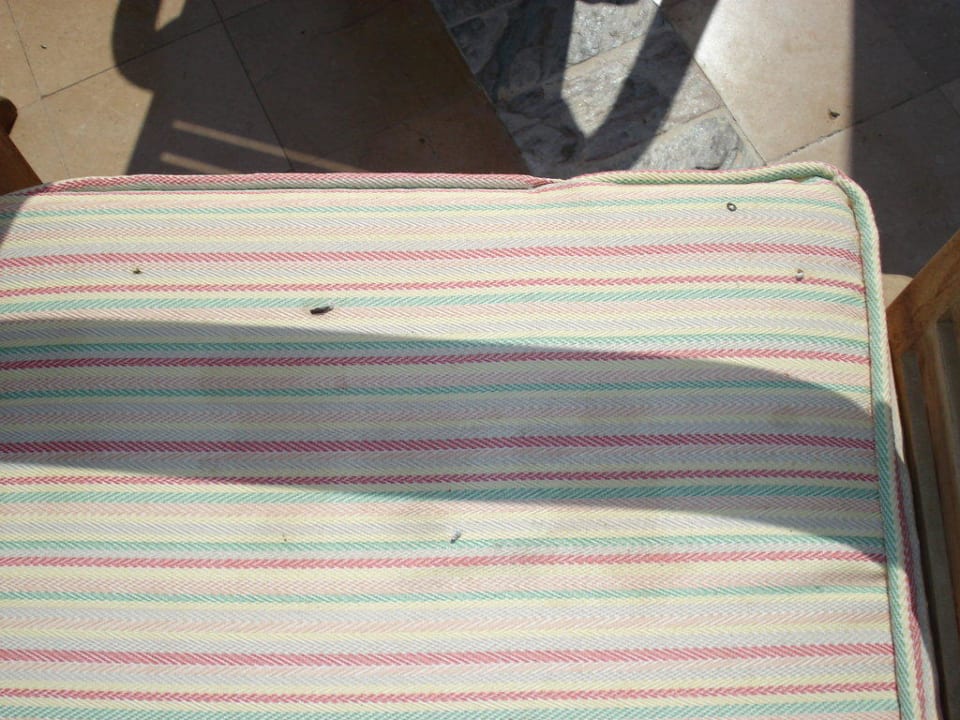 Stuhl Radisson Blu Resort, El Quseir