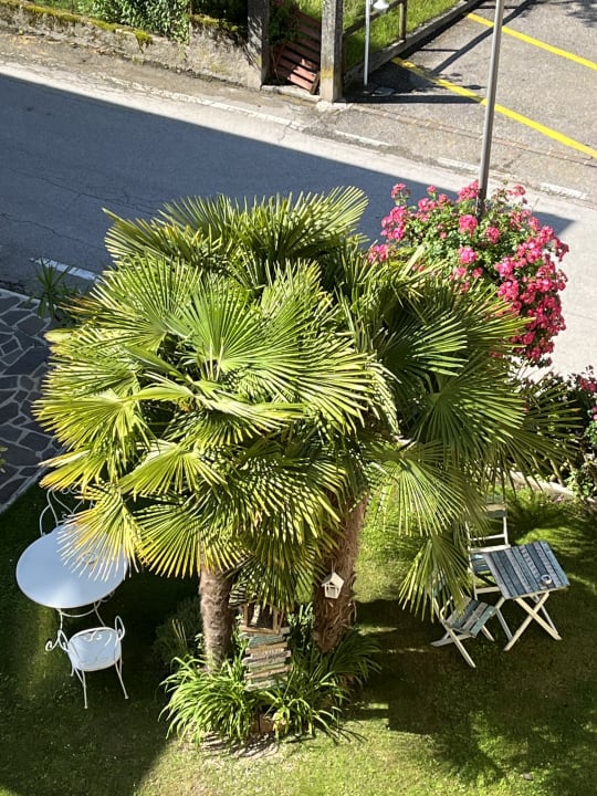 Gartenanlage Good Life Hotel Garden