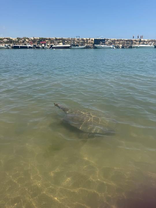 Strand Side Story Resort & Spa