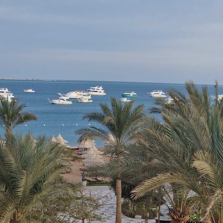 Gartenanlage The Grand Palace - Adults only