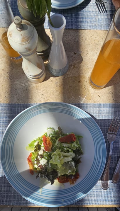 Gastro JAZ Elite Amara
