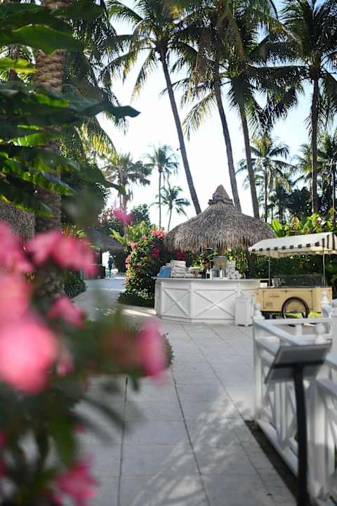 Gartenanlage The Palms Hotel & Spa