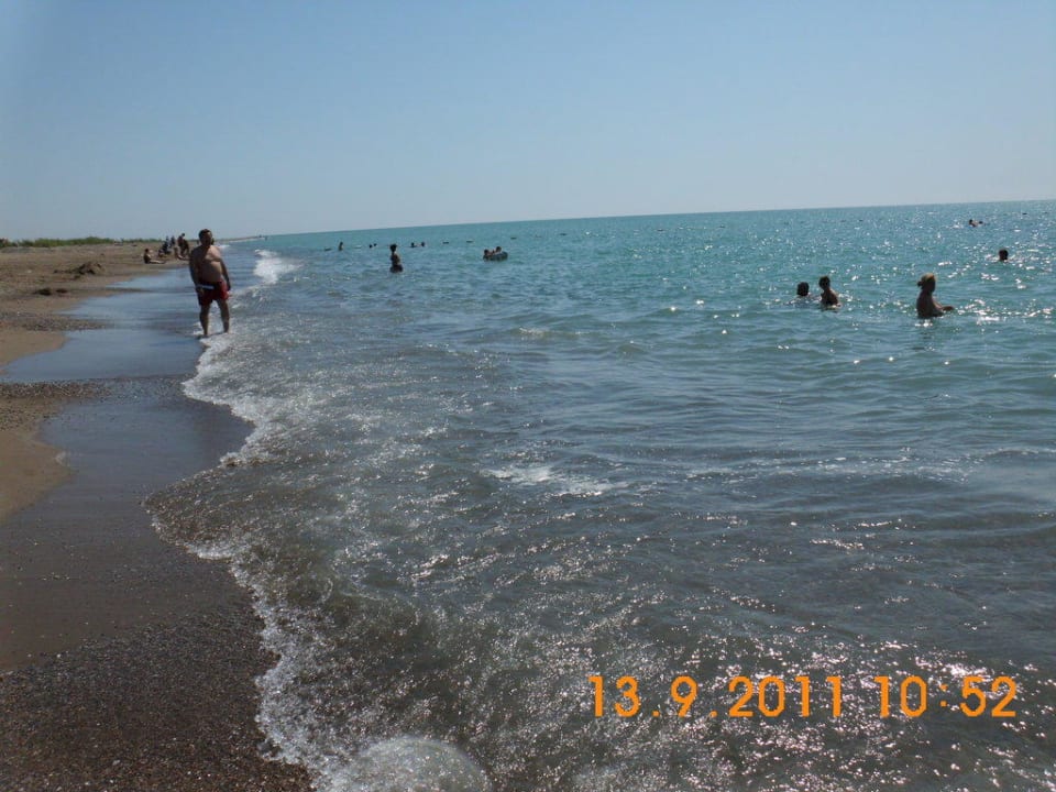 Strand Crystal Paraiso Aqua Collection