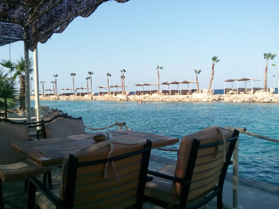 Ausblick Pickalbatros Citadel Resort