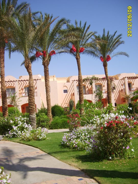 Palemki Jaz Makadi Saraya Resort