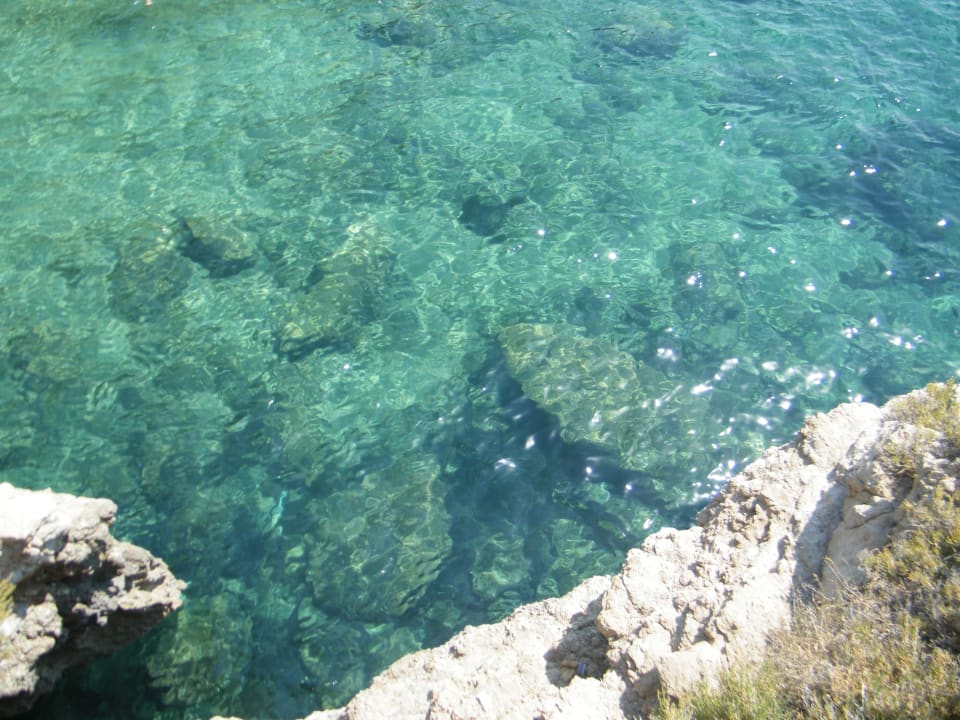 Strand Club Resort Atlantis