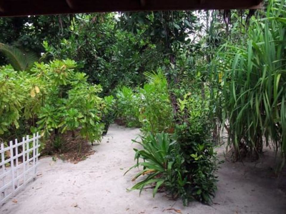 Ausblick von unserem Bungi Reethi Beach Resort