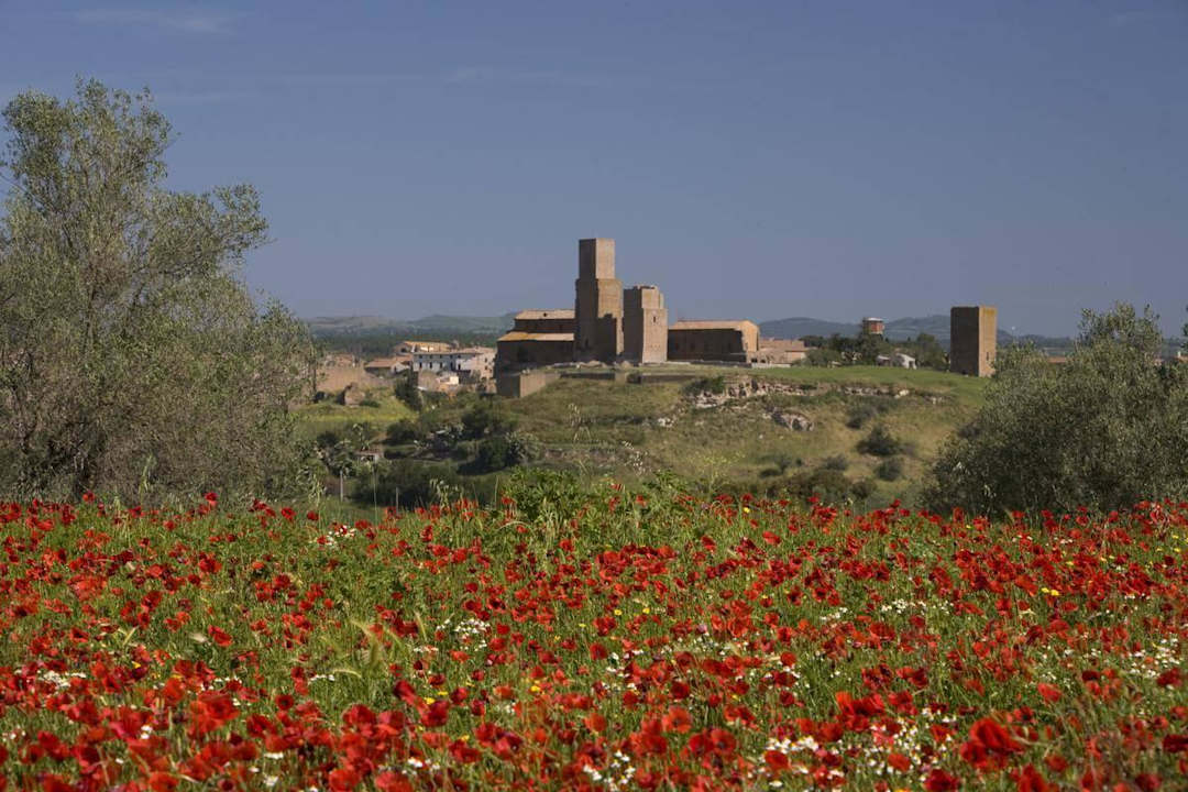 Basilica S. Pietro Casa Caponetti