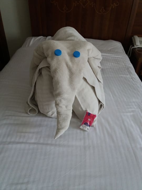 Zimmer Royal Star Beach Resort