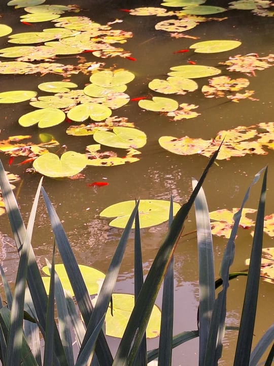 Gartenanlage Naturresort & Spa Schindelbruch