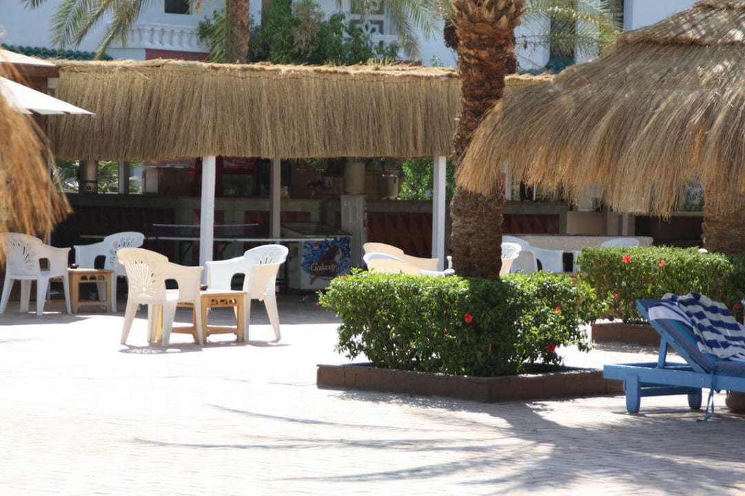 Sonnenschirme am Pool Albatros Sharm Resort