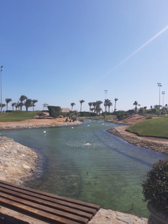 Ausblick Steigenberger Aqua Magic