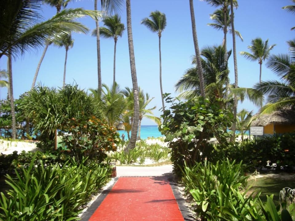 Der Weg zum Strand Hotel Grand Palladium Palace Resort, Spa & Casino