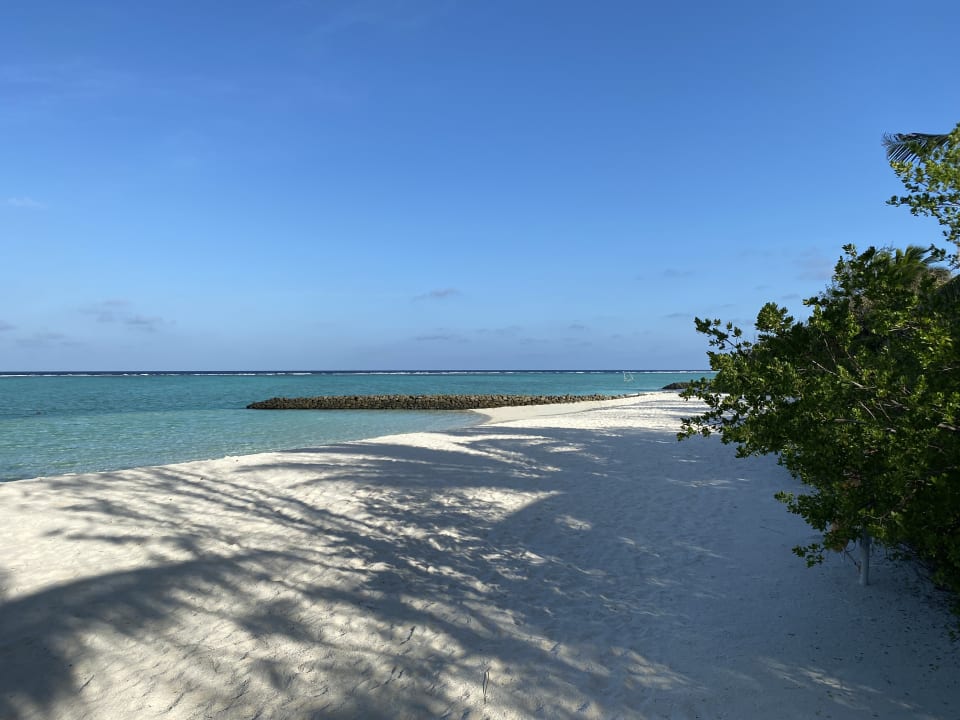 Strand Summer Island Maldives