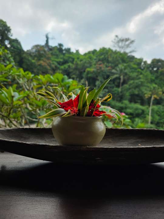 Ausblick Hotel Tjampuhan