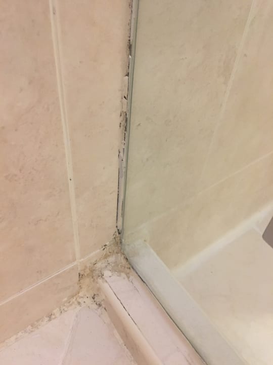 Zimmer Effect Grand Victoria Hotel