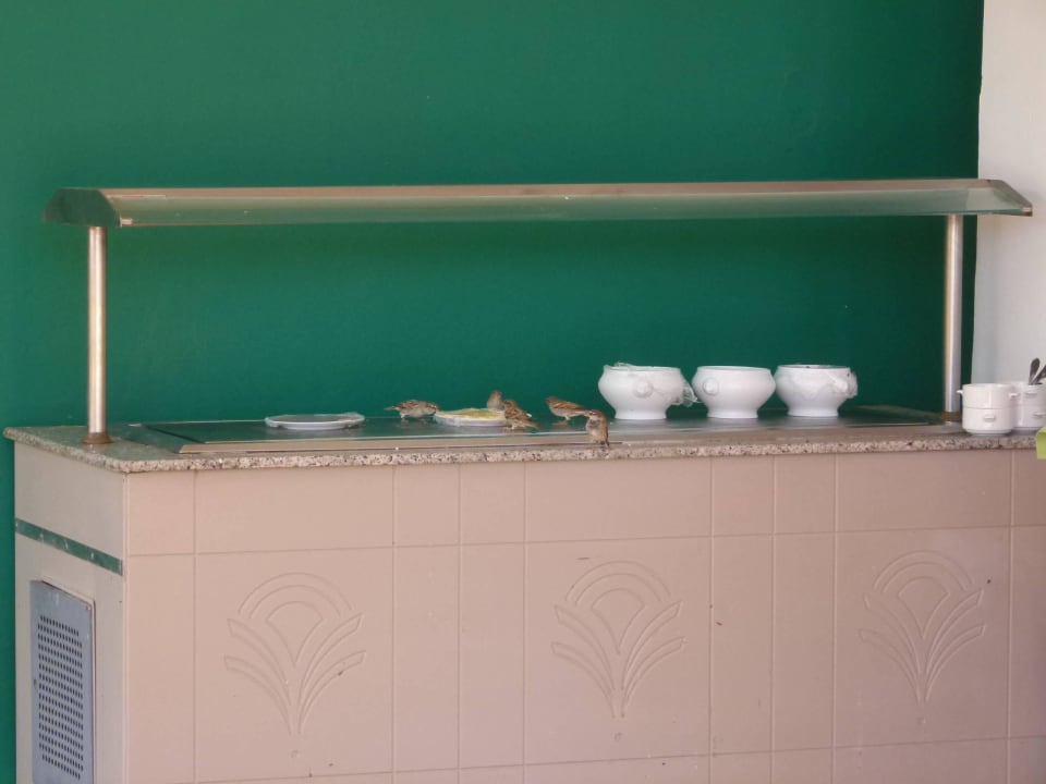 Langschläferfrühstück Skanes Serail Aquapark