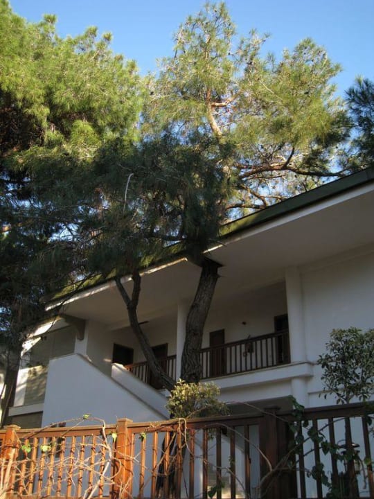 "Baumhaus" Voyage Belek Golf & Spa