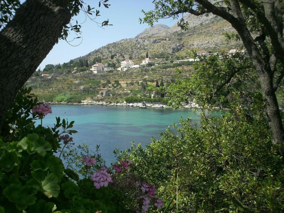 Ausblick Hotel Orphee
