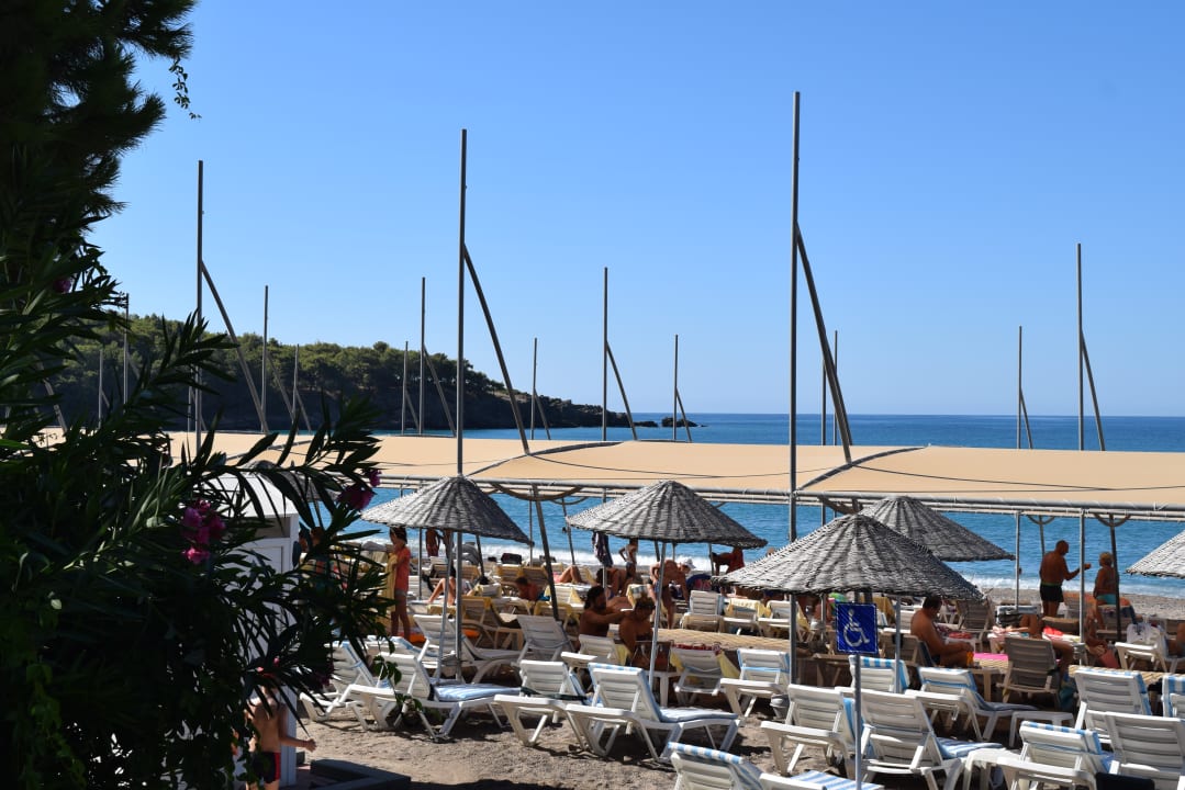 Strand Arycanda Kirman Premium