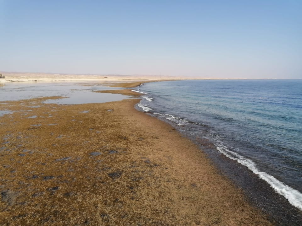 Strand Lazuli Hotel Marsa Alam