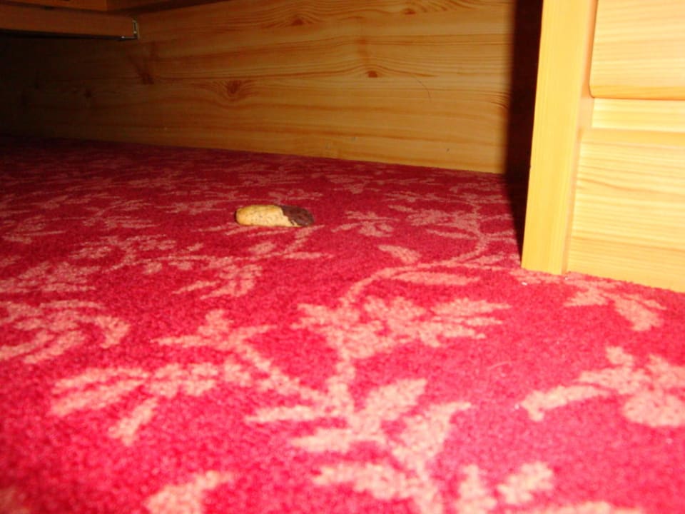 Überrschung unter den Bett Wohlfühlhotel Liebnitzmühle