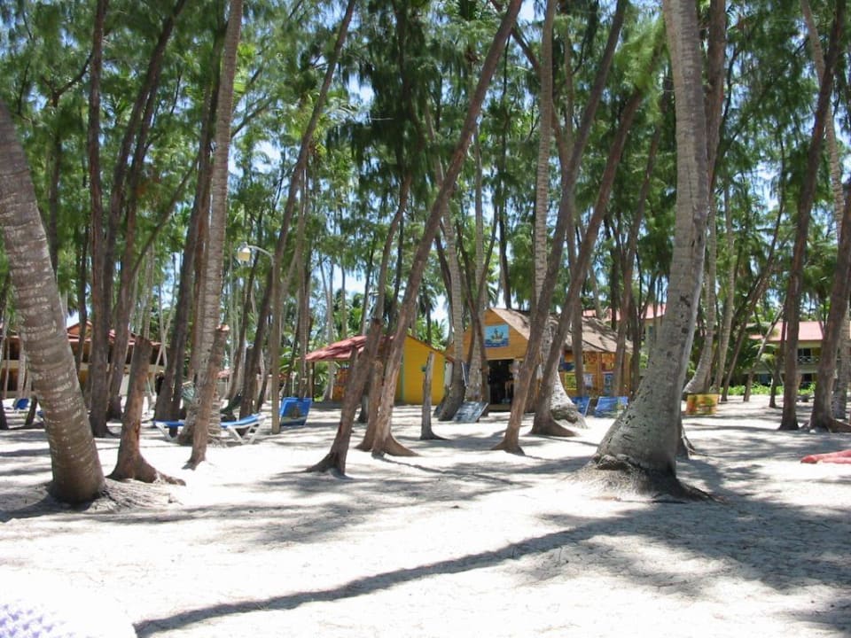 Strand Vista Sol Punta Cana