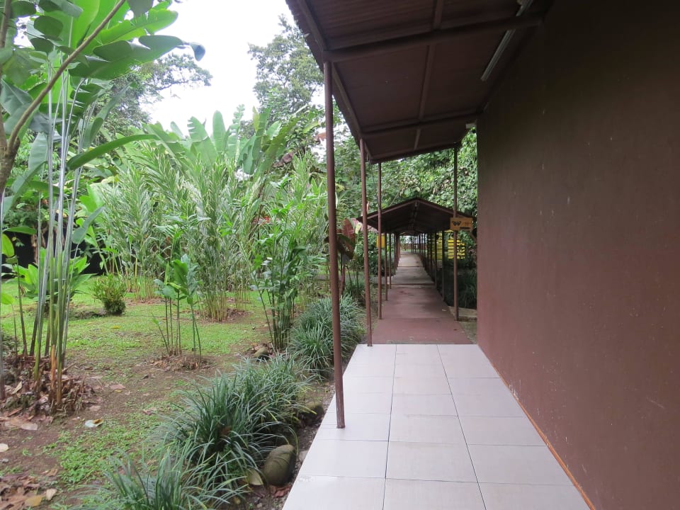 Weg zu den Zimmern La Quinta Sarapiqui Lodge
