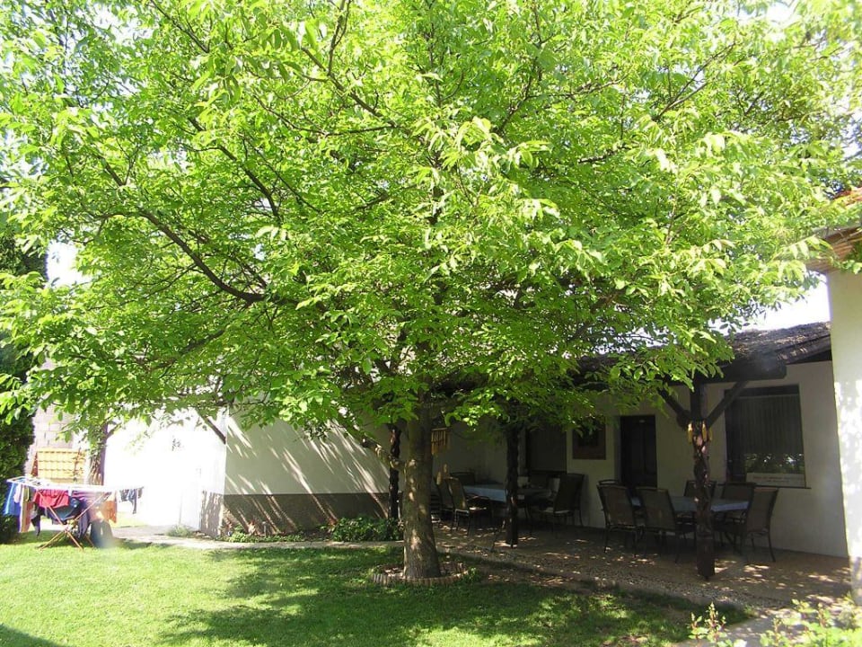 Garten Weingut und Gästehaus Markus Tschida