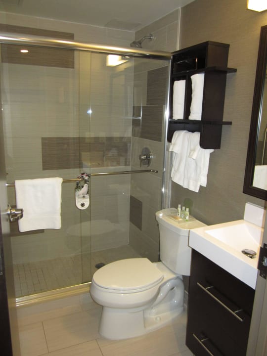 Bad Holiday Inn Manhattan-Financial District