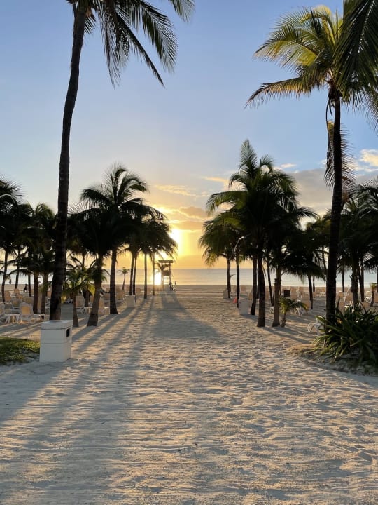 Strand Hotel Riu Playacar