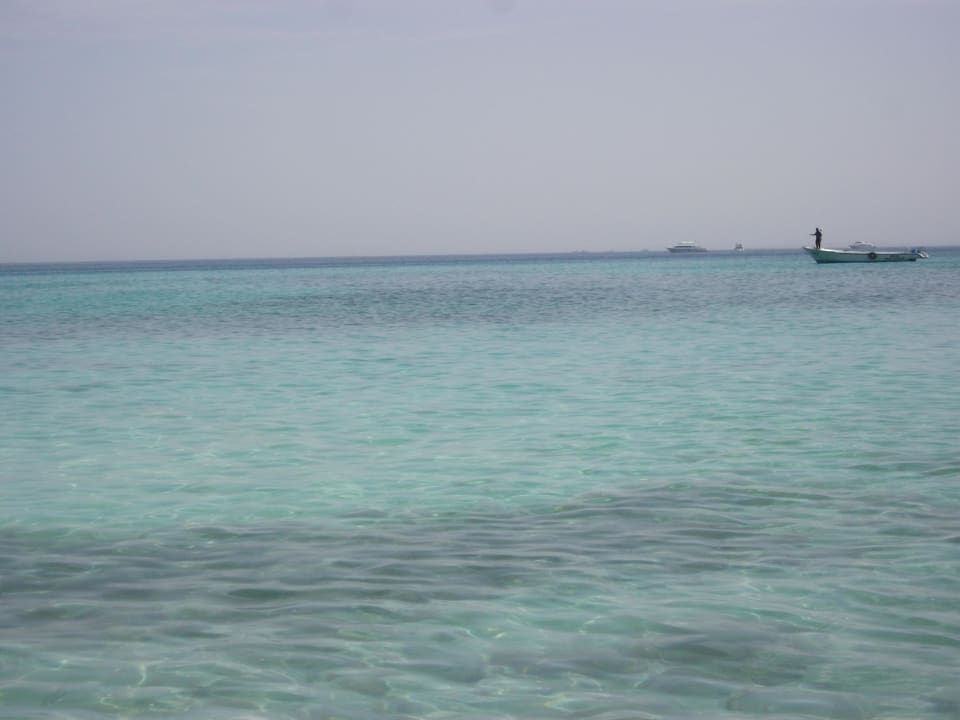 Hotel Beach Albatros GARDEN Pickalbatros Aqua Park Resort - Hurghada