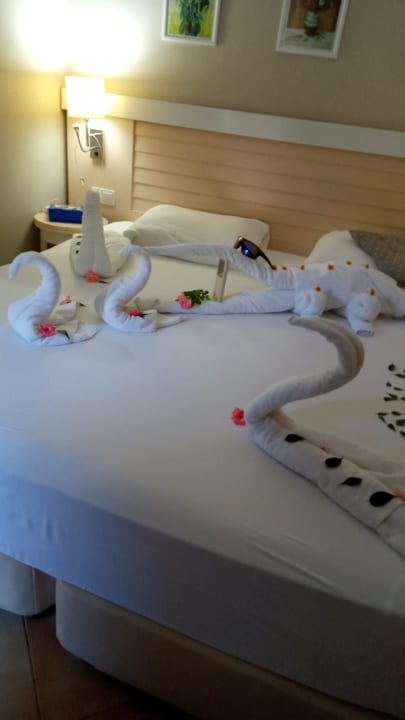 Zimmer Can Garden Beach