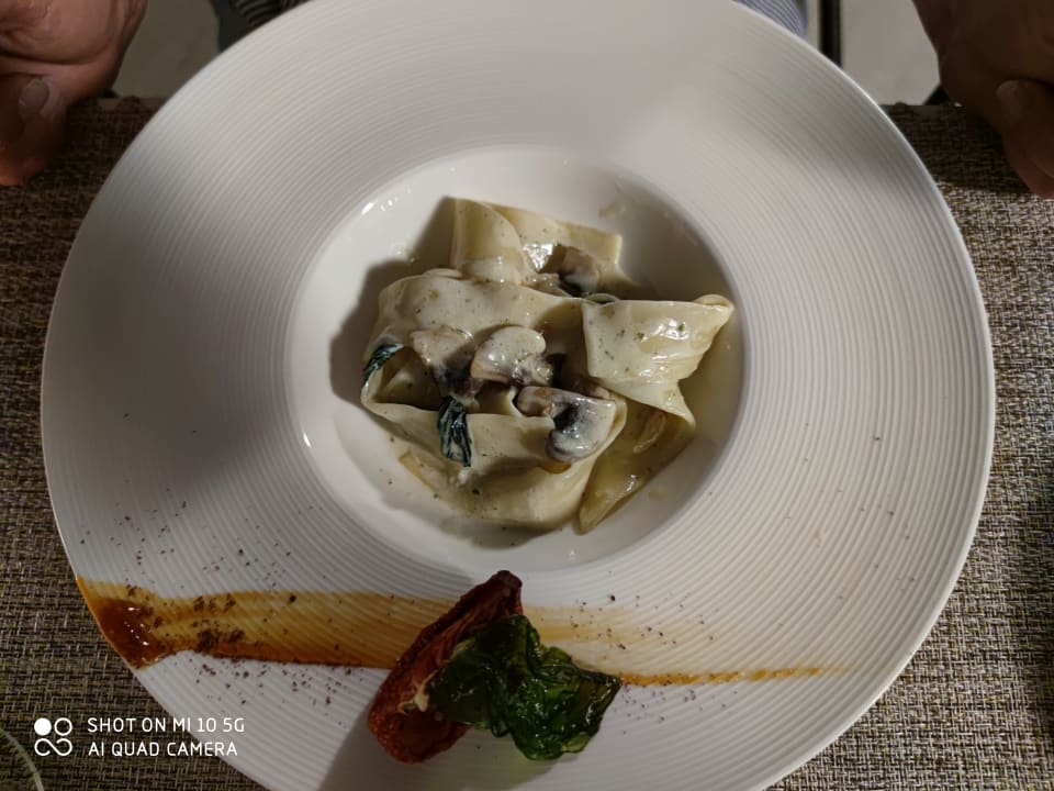 Gastro Acanthus Cennet Barut Collection